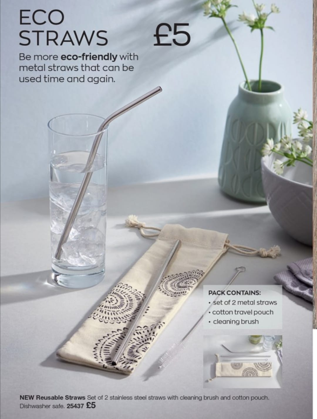 Stainless Steel Straws - pack of 2