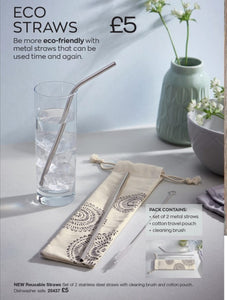 Stainless Steel Straws - pack of 2